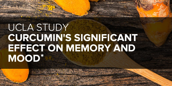 Curcumin and Memory